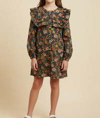 Girls Floral Print Double Ruffle Button Down Dress
