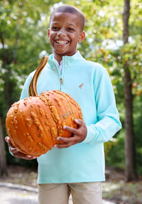 Hayword Half Zip Edisto Egg Blue