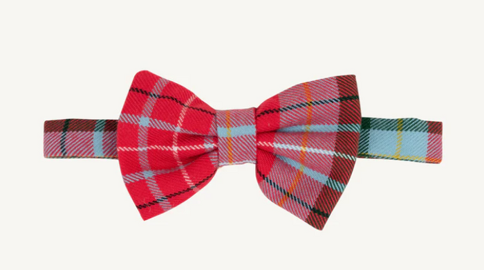 TBBC BAYLOR BOWTIE WILSON PIER PLAID