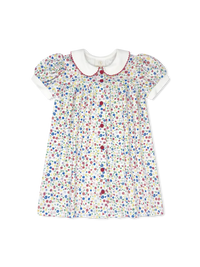 Breccan Dress Homeroom Blooms