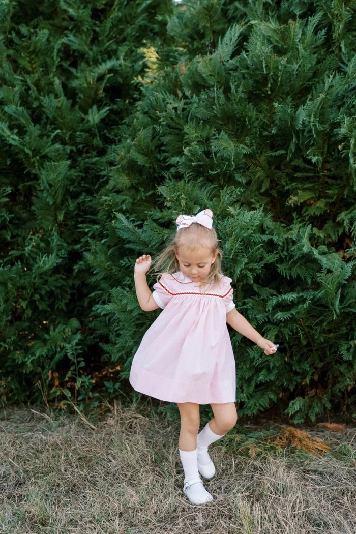 Lullaby Set Kendall Dress Classic Pink Minigingham