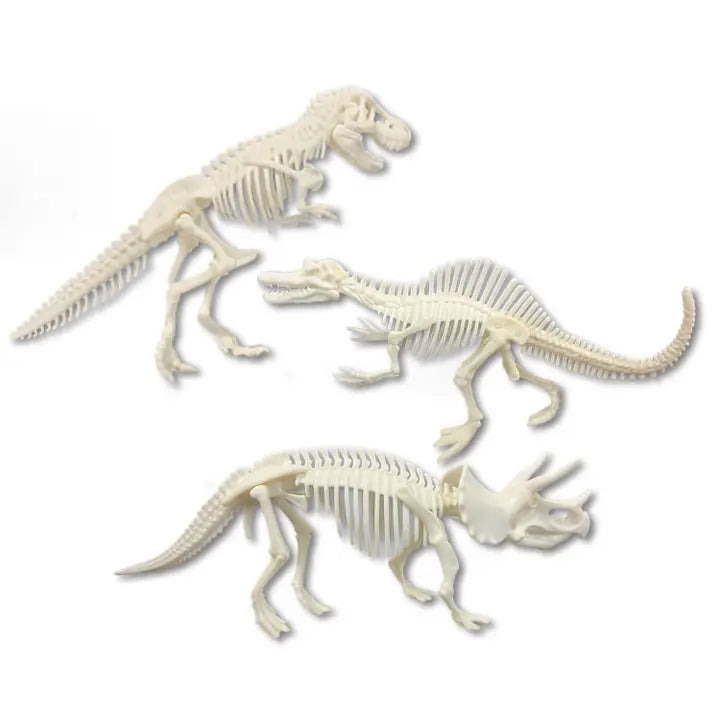 Discover It Dino Dig