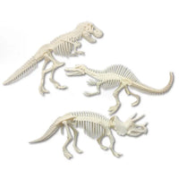 Discover It Dino Dig