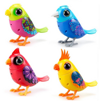 Digibirds Assortment
