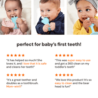 Oogiebear 360° Training Toothbrush