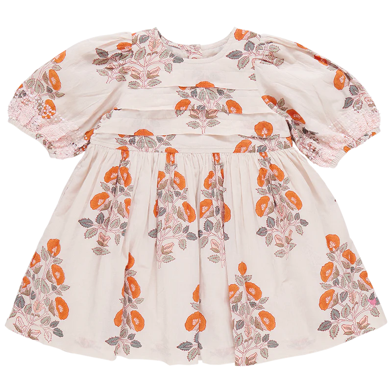 PINK CHICKEN EVELYN DRESS CLOUD BOUQUET FLORAL