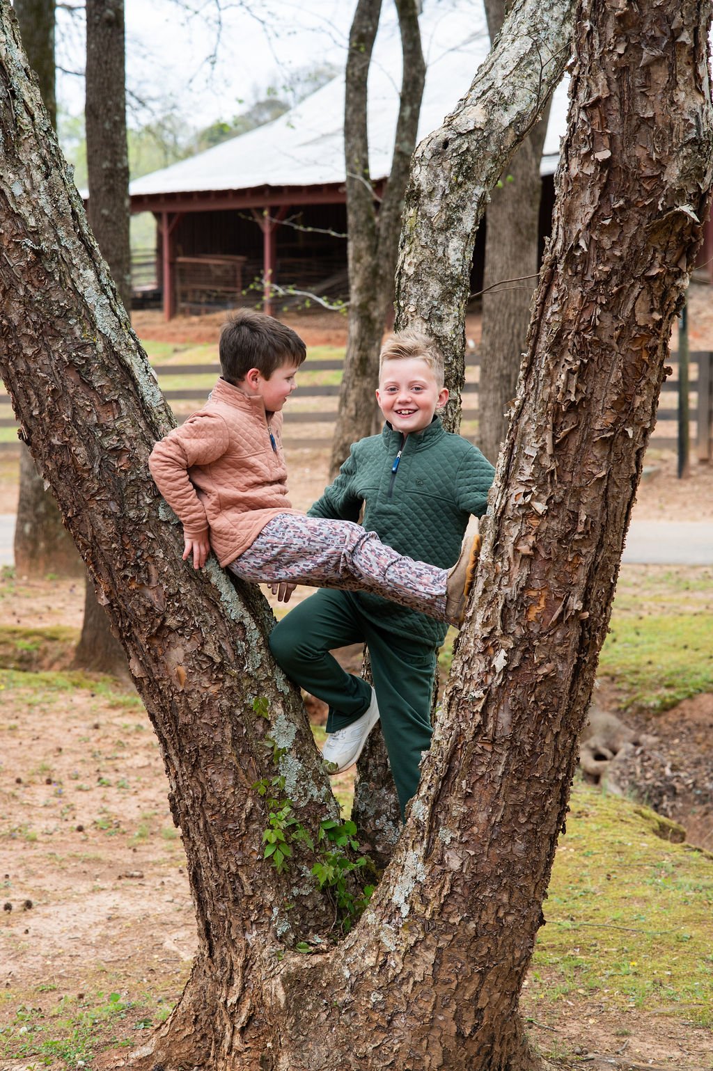 Two young boys in matching green and brown knit outfits play in a large tree trunk outdoors on a farm, with a barn visible in the background.