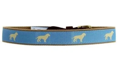 BELT GOLDEN DOG LIGHT BLUE