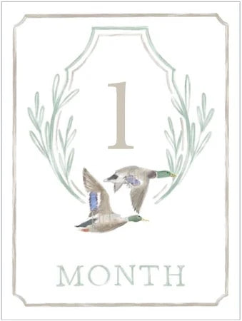 HAMNER HILL FLYIN' SOUTH CREST MILESTONE CARDS