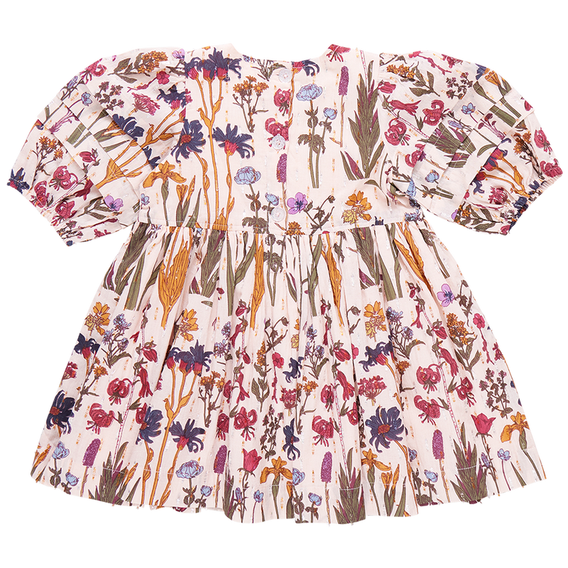 PINK CHICKEN BROOKE DRESS AUTUMN FLOWERS