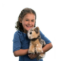 DOUGLAS YETTIE YORKIE